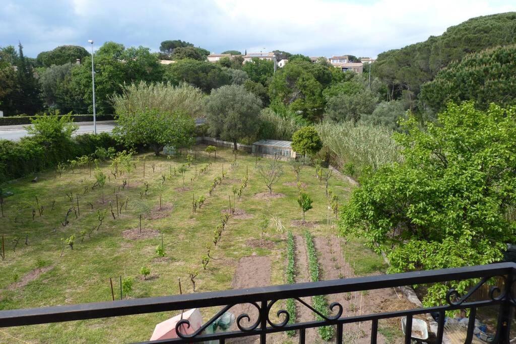 Appartement Independant Dans Villa, Entre Frejus Et St Raphael Kültér fotó