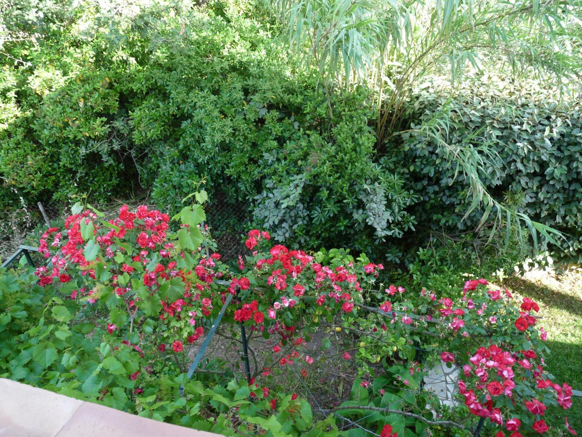 Appartement Independant Dans Villa, Entre Frejus Et St Raphael Kültér fotó